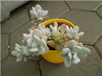 73e24e2b-Picture 367.jpg